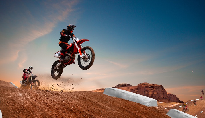 RX 250/300/350 + RX 450